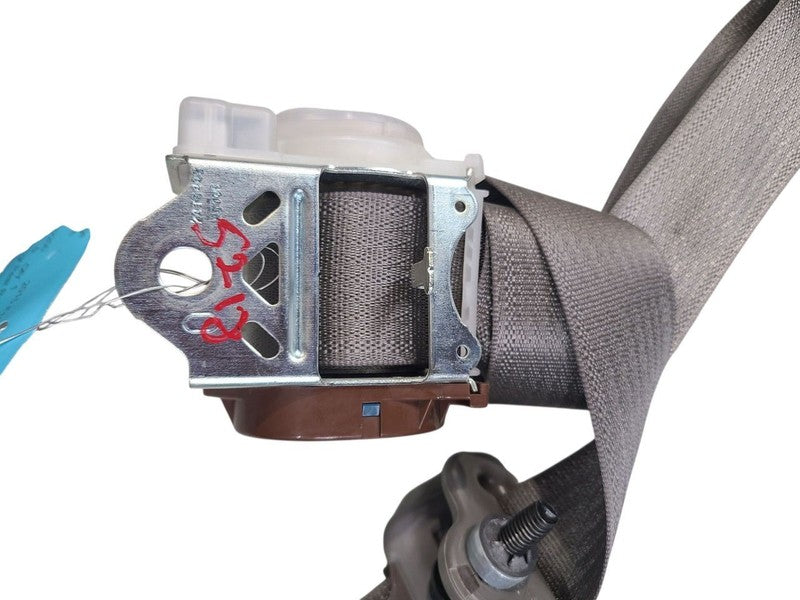 F150      2015 Seat Belt Rear 645706