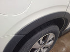 ASCENT    2019 Fender Flare/Extension 658144