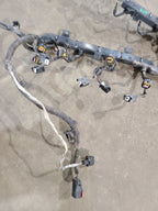 RENEGADE  2015 Engine Wire Harness 610448