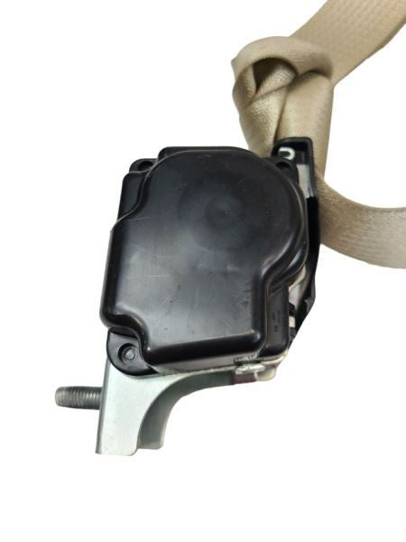 TAURUS    2015 Seat Belt Rear 585604