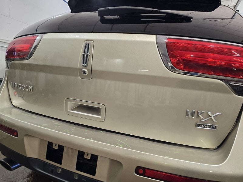 Trunk/Hatch/Tailgate Privacy Tint Glass Power Lift Fits 11 MKX 637281