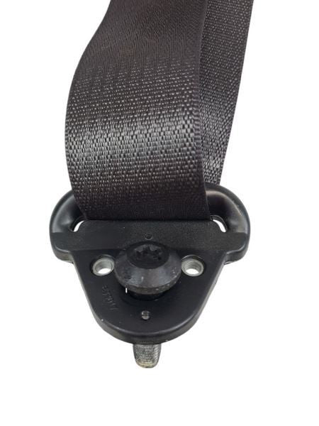 FLEX      2018 Seat Belt Rear 598459