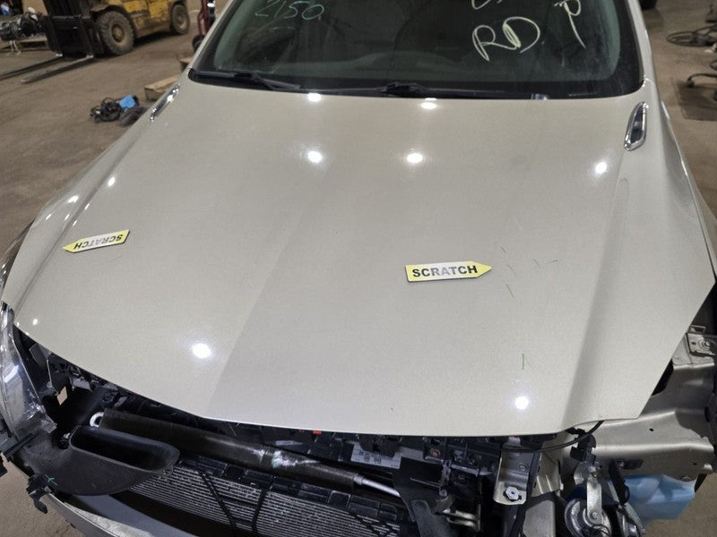 Hood Fits 12-17 REGAL 631186