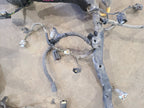 F350SD    2008 Engine Wire Harness 677033 1876436C2