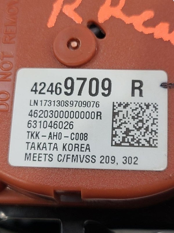ENCORE    2018 Seat Belt Rear 639809