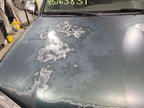 Hood Fits 01-07 SEQUOIA 677109