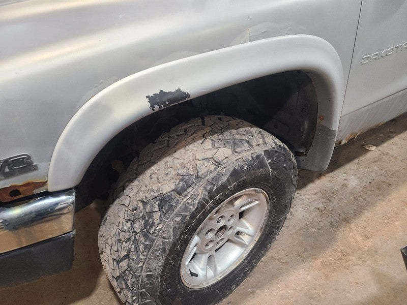 Front Driver Fender Flare/Extension Fits 1999 DAKOTA  666424