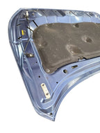 Hood Fits 20-23 LEGACY 626886