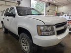 TAHOE     2013 Seat Belt Rear 594136