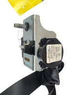 TAURUS    2013 Seat Belt Rear 604829