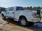 Oil Pan 5.4L 3V Fits 09-14 EXPEDITION 224844