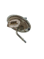 Fuel Pump Assembly Tank Mounted 133" Wb Fits 87-89 FORD F150 PICKUP 64
