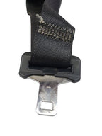 CARAVAN   2009 Seat Belt Rear 599164