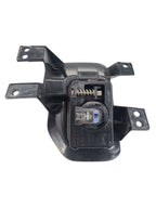 Passenger Corner/Park Light Fog-driving Fits 15-17 FORD F150 PICKUP 66