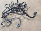 SIERDEN15 2014 Lamp Wiring Harness 625680
