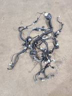 OUTBAKLEG 2024 Engine Wire Harness 608562