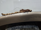 F150      2013 Fender Flare/Extension 633749