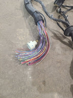 MALIBU    2018 Lamp Wiring Harness 620150