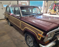 Wagoneer hinges