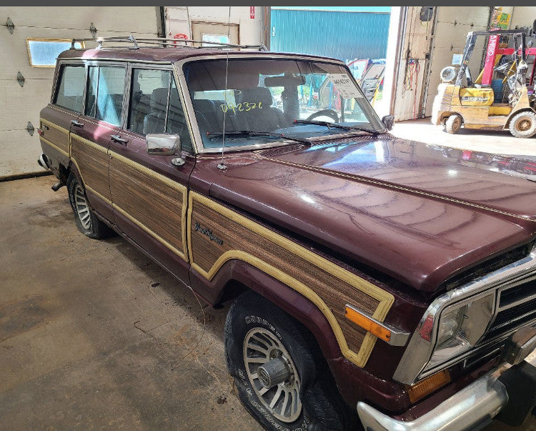 Wagoneer hinges