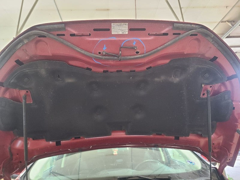 Hood Fits 19-24 EDGE 676284