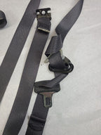 SIERRA250 2011 Seat Belt Rear 611844