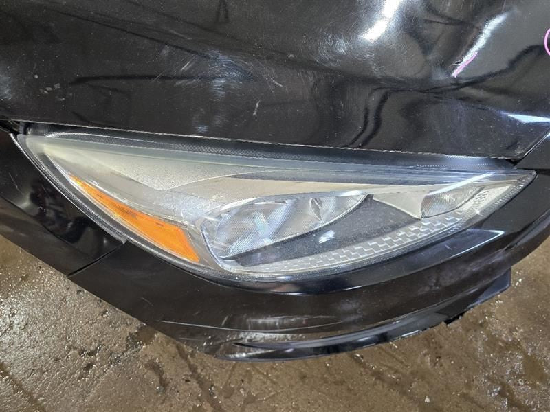 Passenger Headlight Halogen Chrome Headlamp Bezel Fits 15-18 FOCUS 600