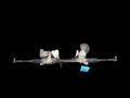 Steering Gear/Rack Power Rack And Pinion EV Fits 13-14 FOCUS 652144