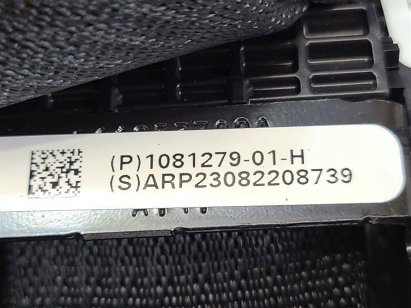 FRONT TESLA 3   2023 Passenger Side Retractor Seat Belt Front 577755