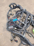 YUKON     2015 Engine Wire Harness 669691