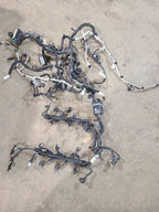 VOYAGER   2020 Engine Wire Harness 623331
