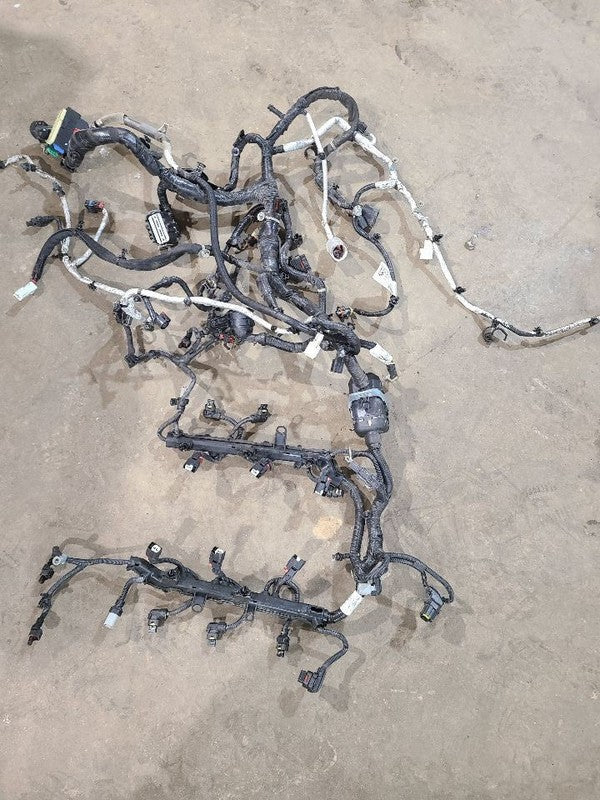 VOYAGER   2020 Engine Wire Harness 623331