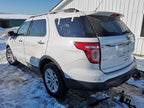 Door Glass for a Drivers Rear Door Privacy Tint Fits 11-19 EXPLORER 25