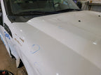 Hood Fits 11-16 FORD F250SD PICKUP 668395