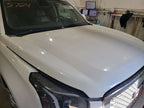 Hood Fits 15-20 YUKON 679578