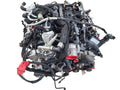 Engine 3.5L VIN 8 8th Digit Turbo Fits 22-24 EXPEDITION 679283