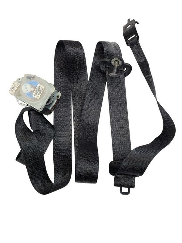 GRANDCHER 2017 Seat Belt Rear 613604