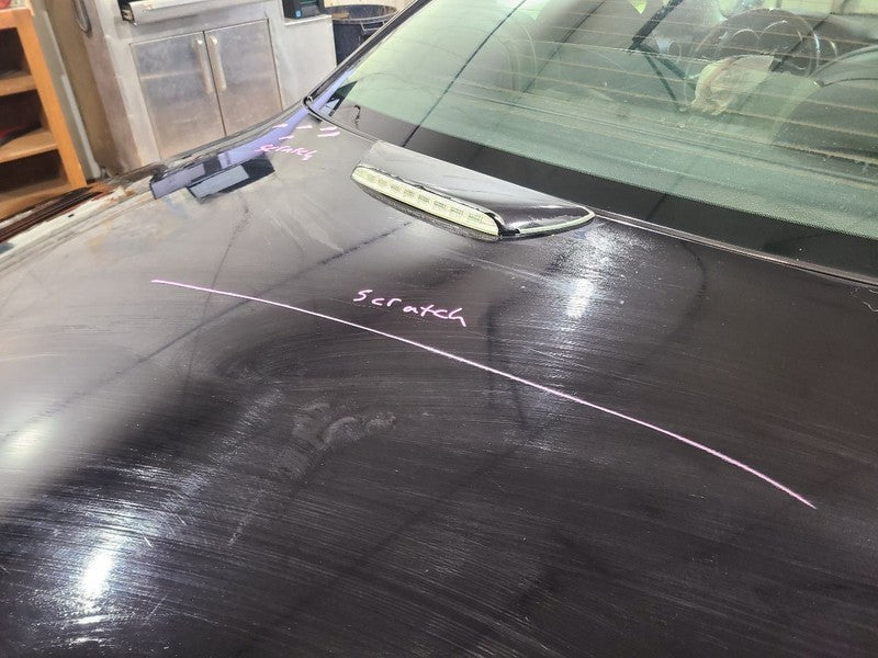 Trunk/Hatch/Tailgate With Spoiler Fits 02-10 LEXUS SC430 657809