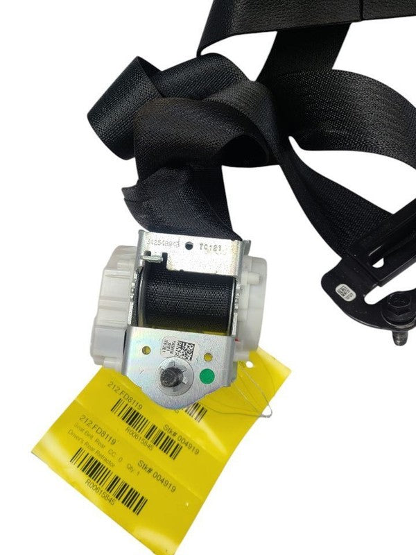 F150      2019 Seat Belt Rear 616165