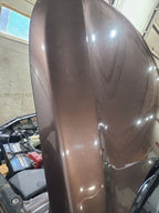 Hood Fits 15-19 LEGACY 666361