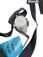 SILVRDO25 2015 Seat Belt Rear 645549