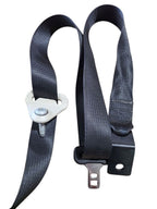 JOURNEY   2016 Seat Belt Rear 634646
