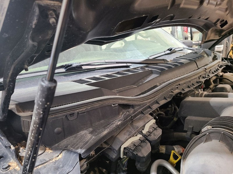 F250SD    2018 Cowl 679339