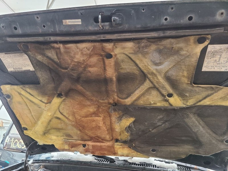 Hood Fits 89-95 TOYOTA PICKUP 659750