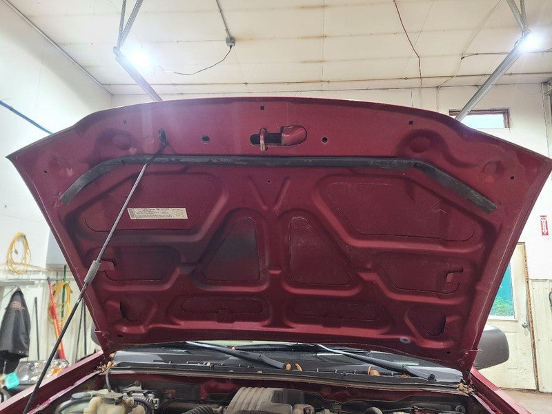 Hood Fits 04-12 CANYON 668713