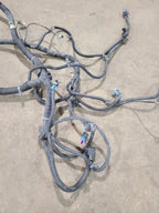 SIEDENALI 2010 Lamp Wiring Harness 613215