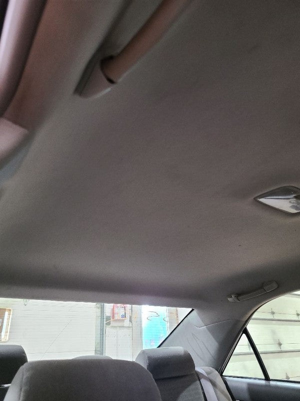 CAMRY     2005 Headliner 668281
