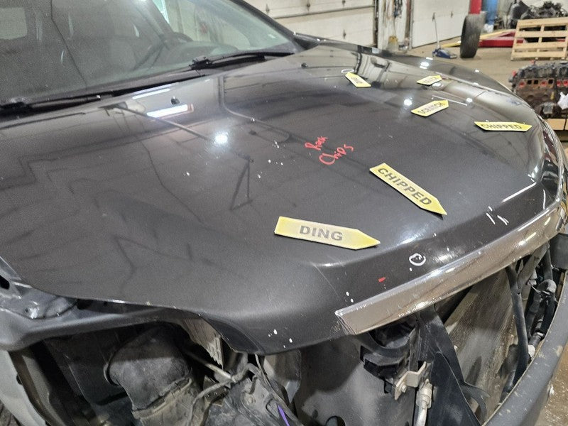 Hood Fits 10-16 SRX 632263
