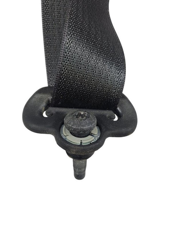 GRANDCHER 2017 Seat Belt Rear 613605