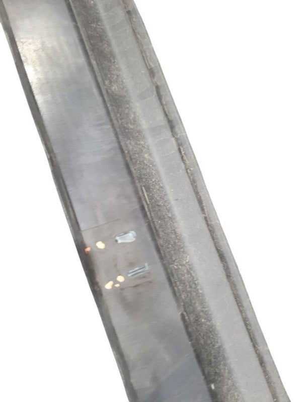 DURANGO   2015 Rocker Panel Moulding 666665